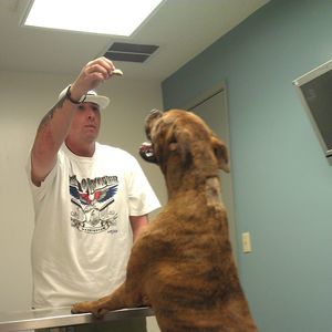 Meet your Posher, Lee